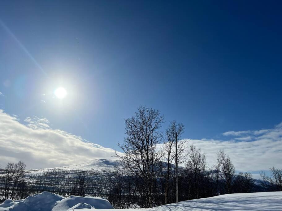Skaidi Lodge - Modern Cabin Luxury - 6 Beds Hammerfest Ngoại thất bức ảnh